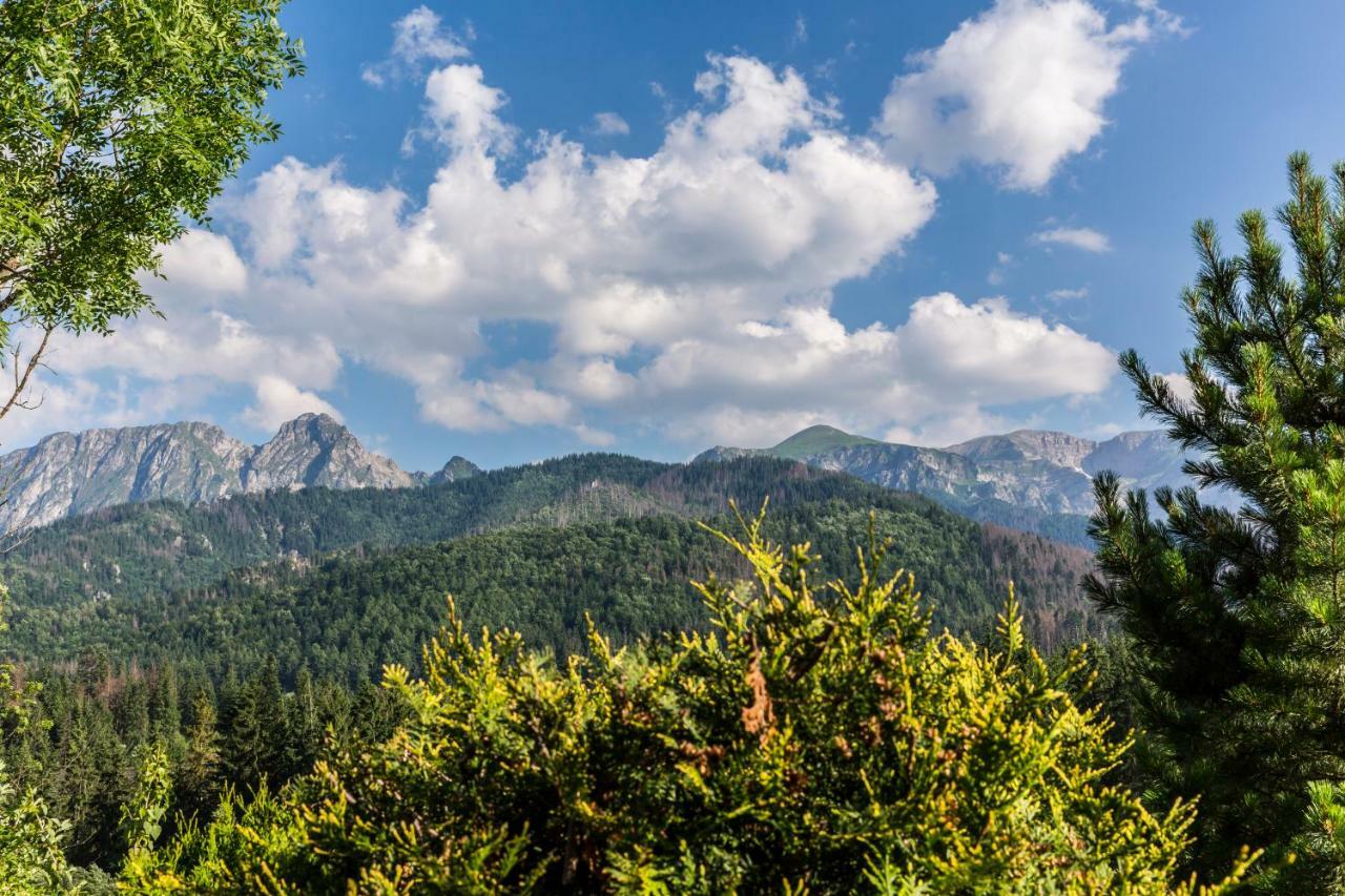 Domy Sywarne Z Sauna I Widokiem Na Gory Kościelisko Exterior foto
